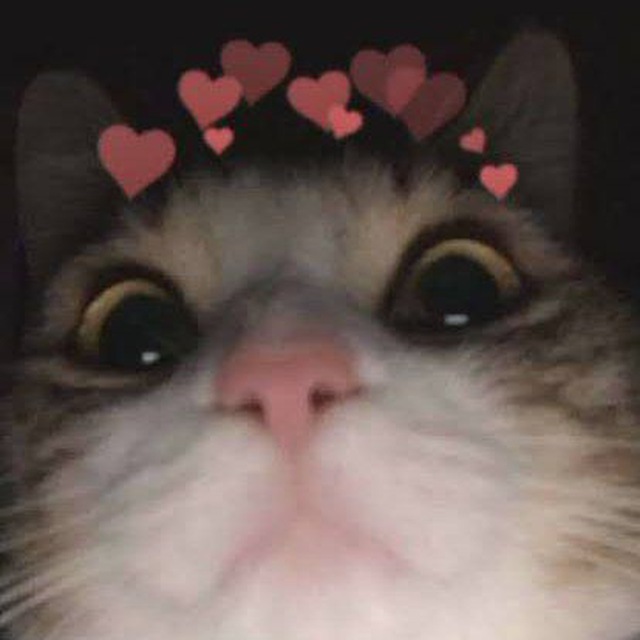 EnVision Hotel Boston